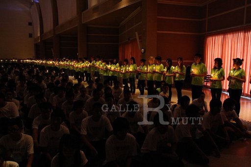 MCT045 - Copy (4).JPG - ºÒÂÈÃÕ